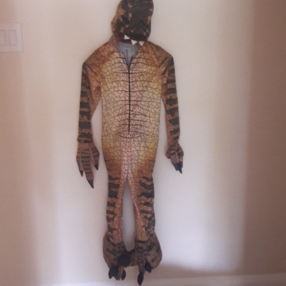 Dinosaur costume